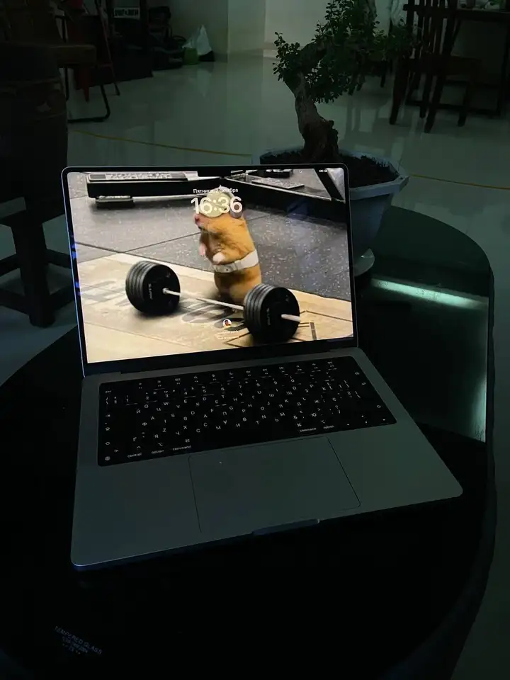 MacBook Pro 14" M4 Pro (2024)