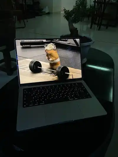 MacBook Pro 14" M4 Pro (2024)