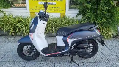 Honda Scoopy 2024 белый, чёрный, серый