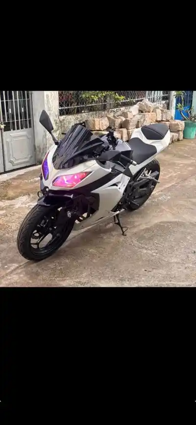 Kawasaki Ninja 300