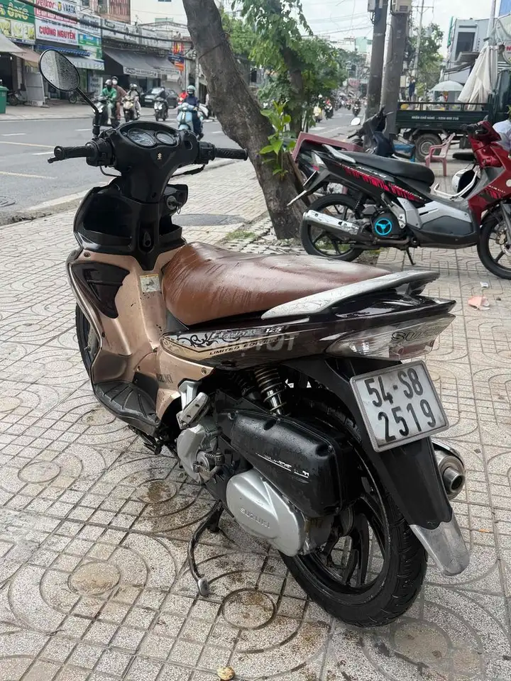 Suzuki Hayate 2010 Коричневый