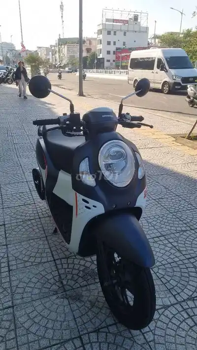 Honda Scoopy 2024 белый, чёрный, серый