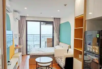 Студия с мебелью в Vinhomes Ocean Park