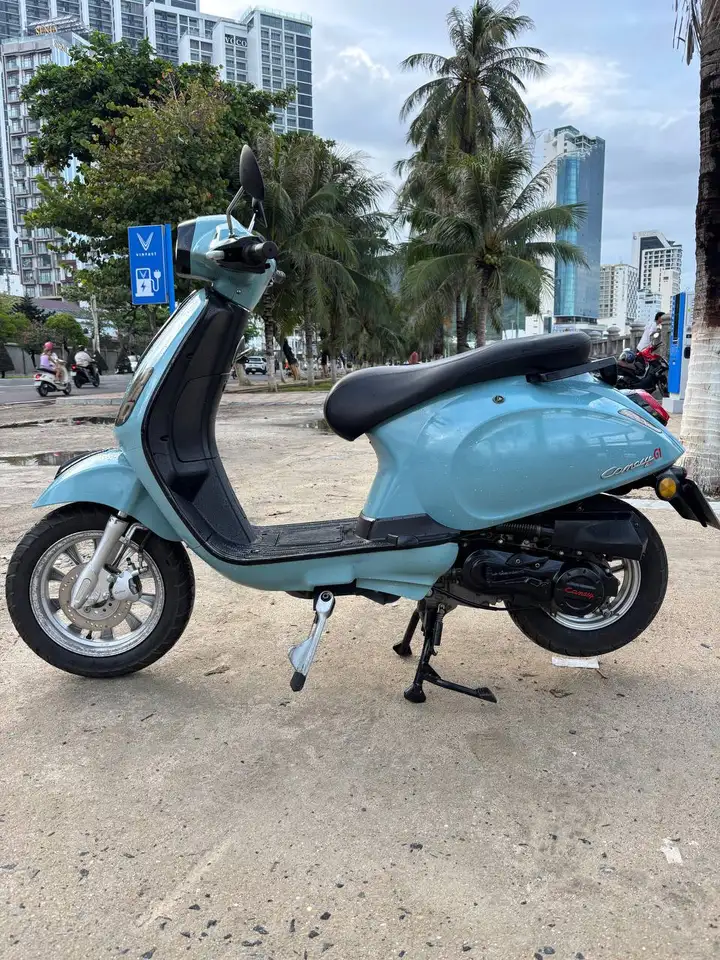 CANELY 2022, 50cc
