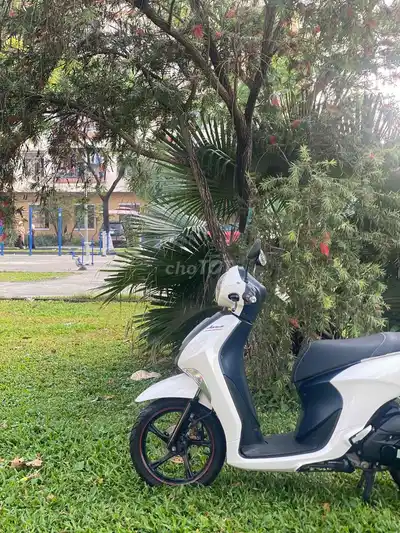 Yamaha Janus Белый, Серый с Smartkey