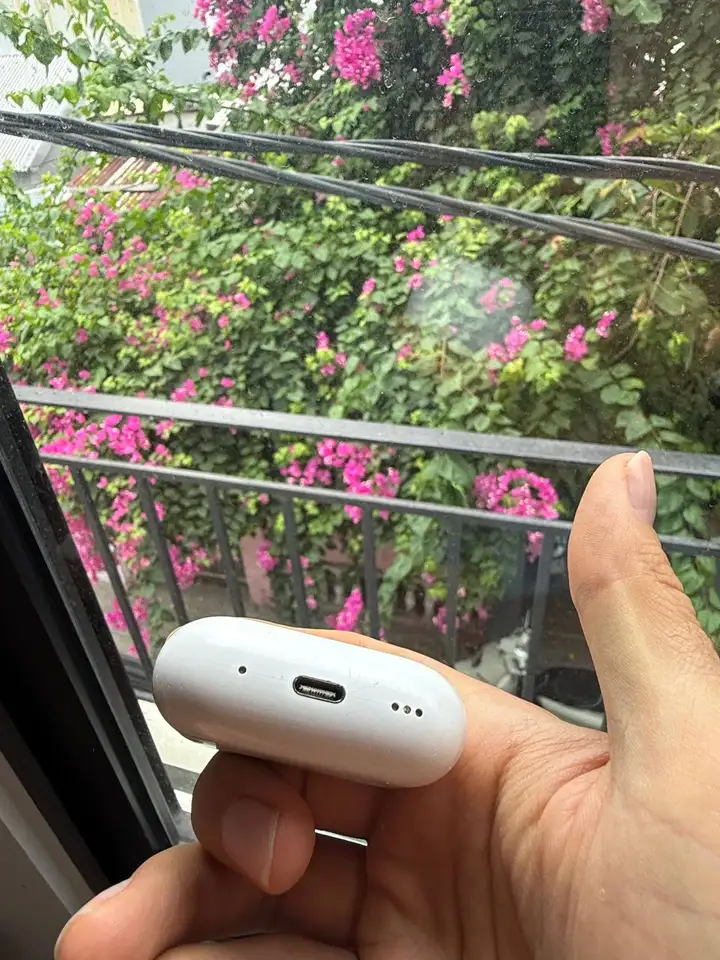 Кейс AirPods Pro (USB-C) и GoPro Hero 11 Black