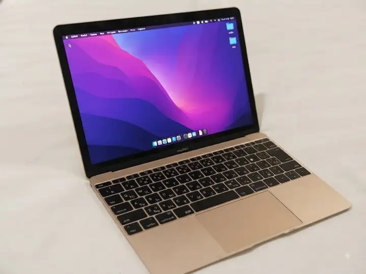 MacBook (Retina, 12-inch, Early 2016) Gold