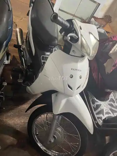Мопед Wave 50cc 2023 документы владельца родной мотор