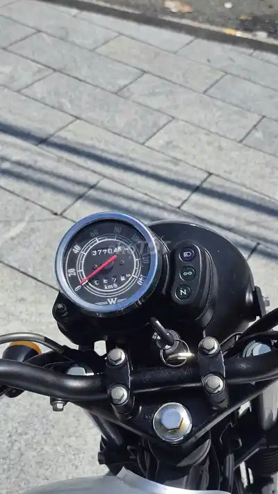 Kawasaki W175 2018 Серебристый, черный, коричневый