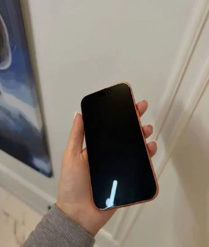 iPhone 17 Pro 256 ГБ