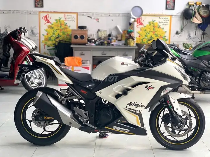 Kawasaki Ninja 300 2017 белый