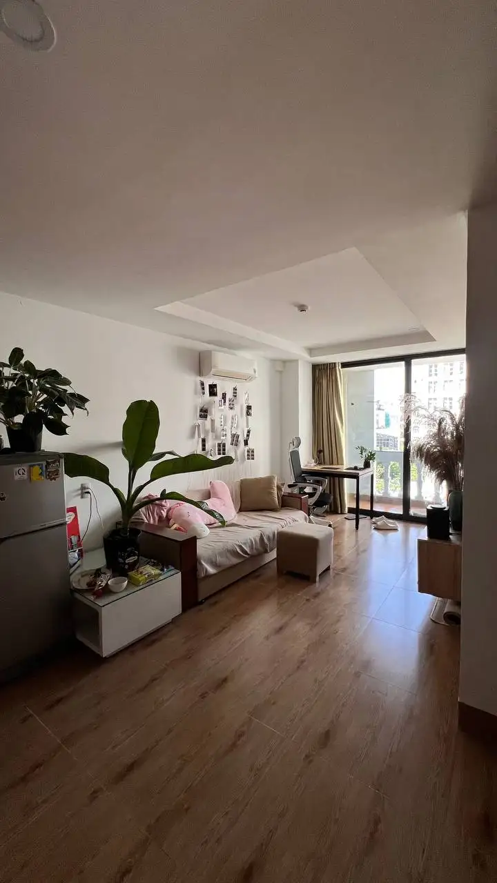 Аренда квартиры в My An, Dominika Apartment