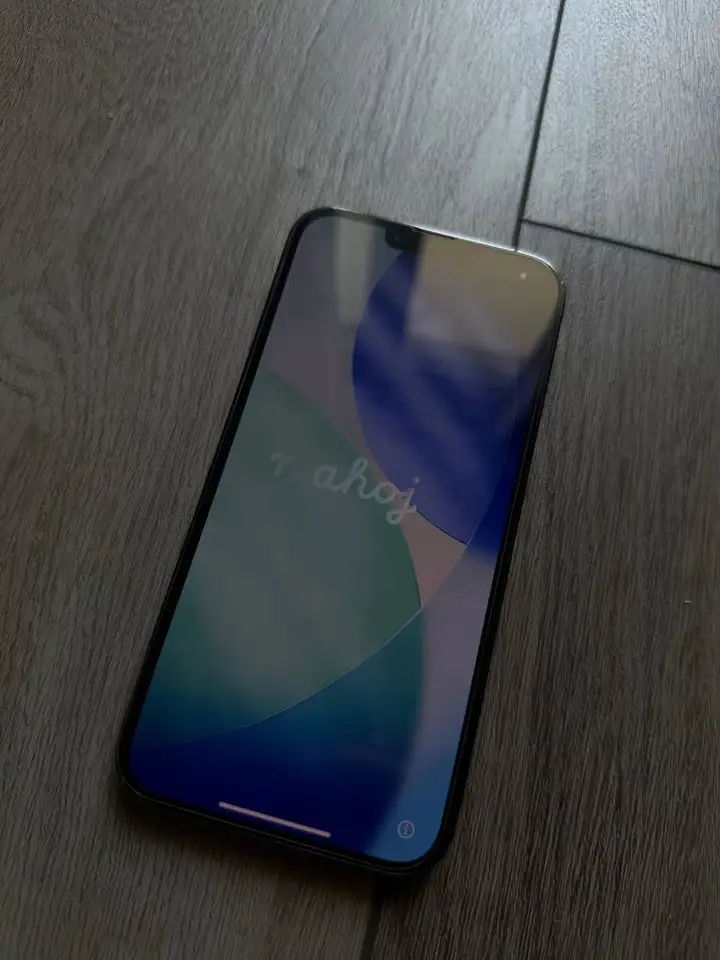 iPhone 13 Pro Max