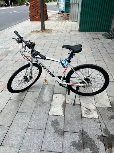 Велосипед CATANI TR30