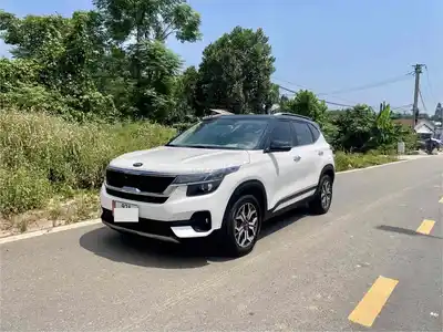 Kia Seltos Luxury 1.4 Turbo 2021 Белый 85000 км