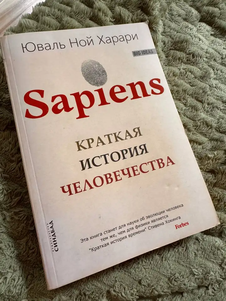 Книга Sapiens, дождевик на байк, шляпа, ящики, очки