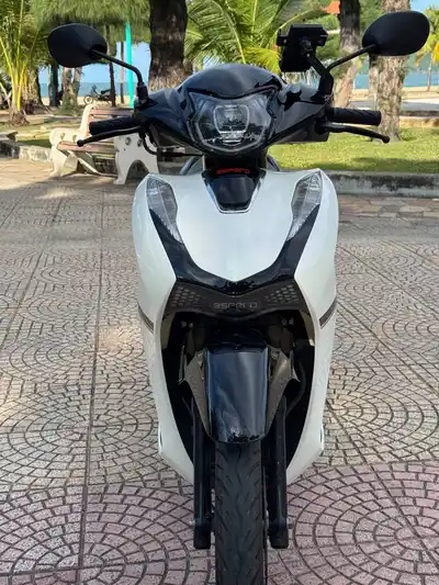Velia 50 2025