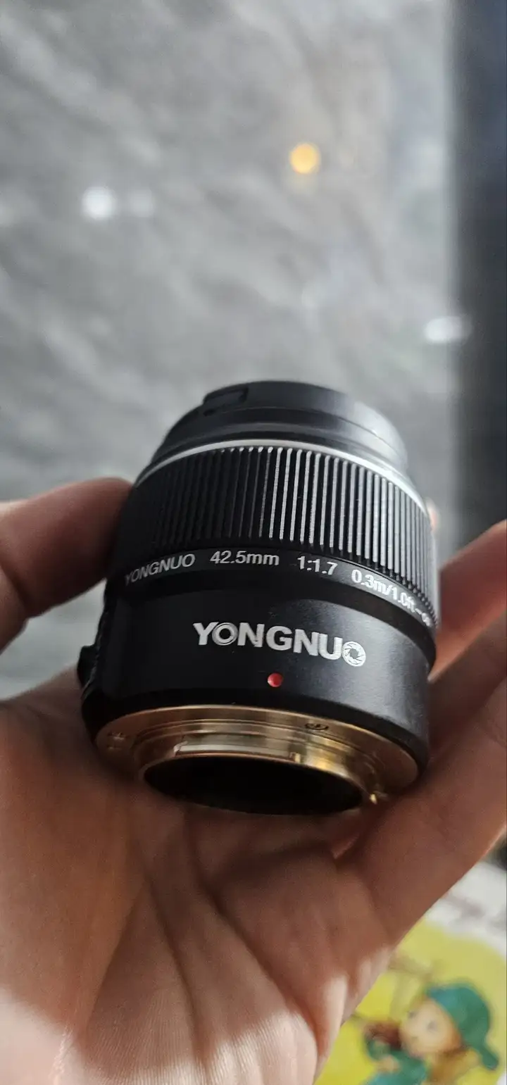 Видеокамера Panasonic Lumix GH5 с объективами