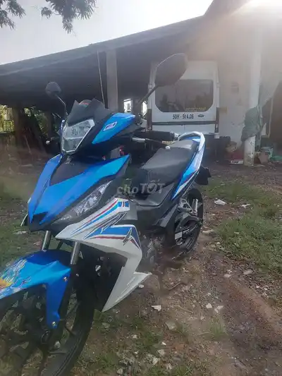 Winner V1 2019