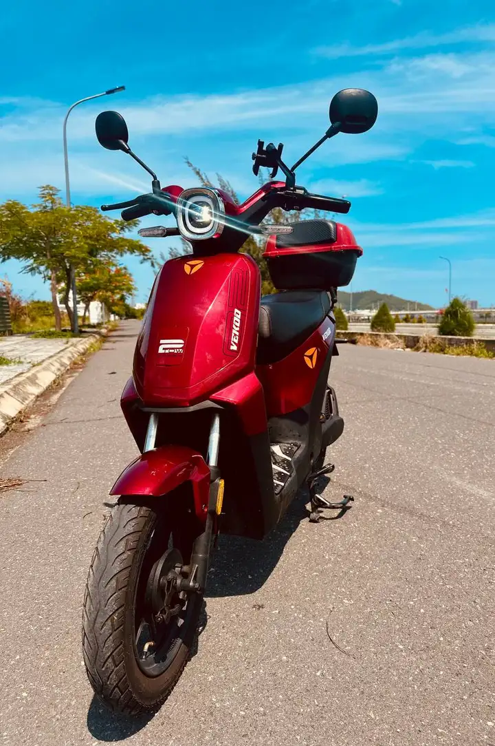 Electric bike Vadea Vekoo 2 с кофром