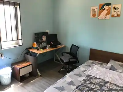 Пересдача контракта на студию у пляжа