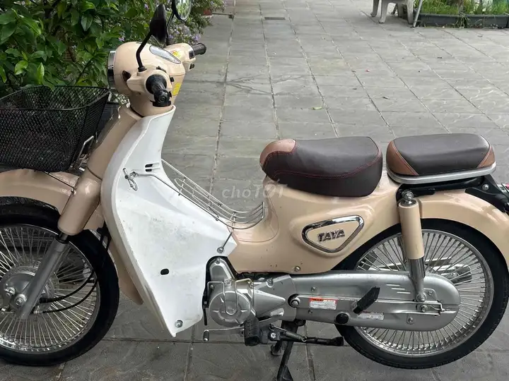 Taya Cub 81 XS кремовый, механика