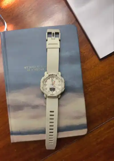 Женские часы Casio Baby-G BGA-240