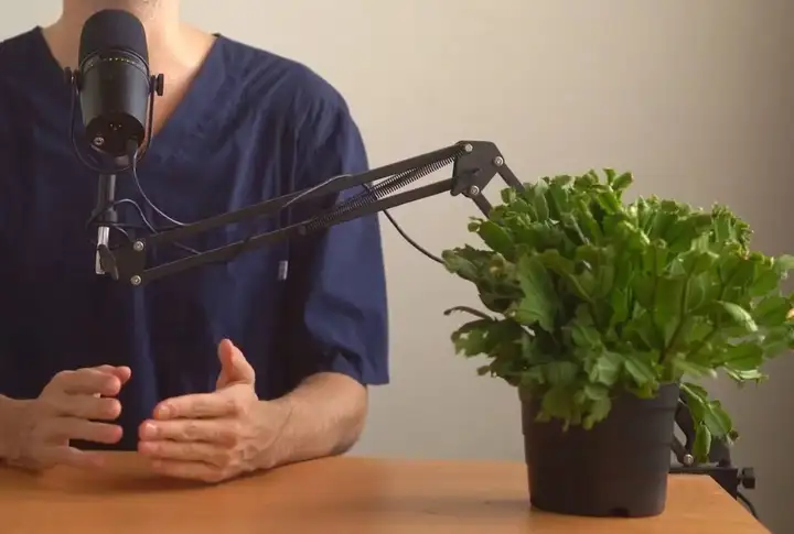 Сетап для подкастов: микрофон Shure MV7, Behringer UMC202HD