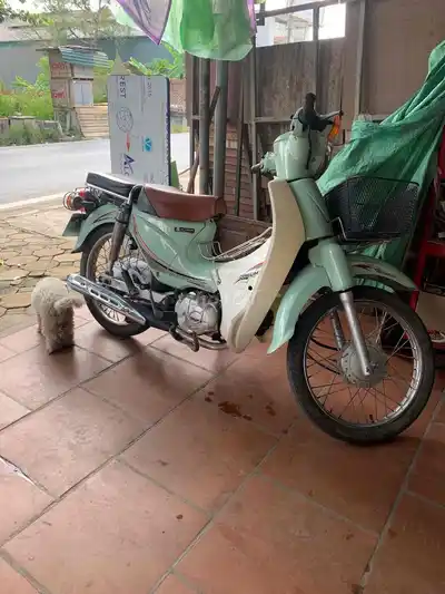 Honda Cub 2021 бирюзовый