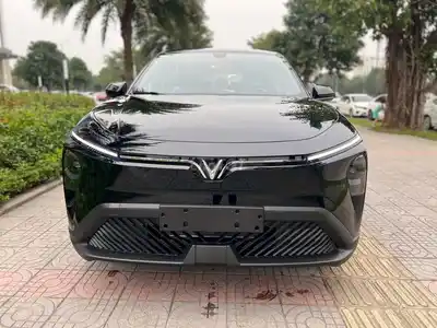 Limo Green Черный 2025