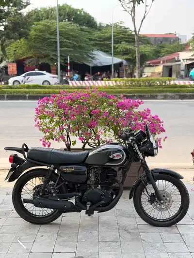 Kawasaki W175 2019, черный