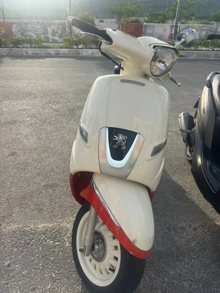 Peugeot Django