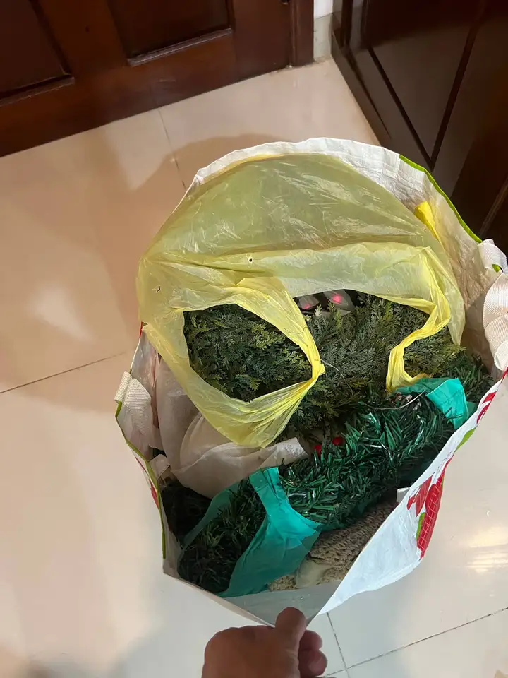 Сумка, женская обувь, новогодний декор, зонты, вешалки, ведро со шваброй, сковорода с кастрюлей, стаканы