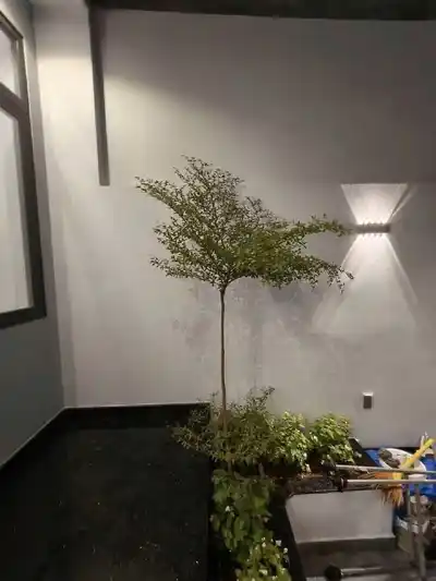 Одноэтажный дом с 2 спальнями, 80 м², Vĩnh Hải