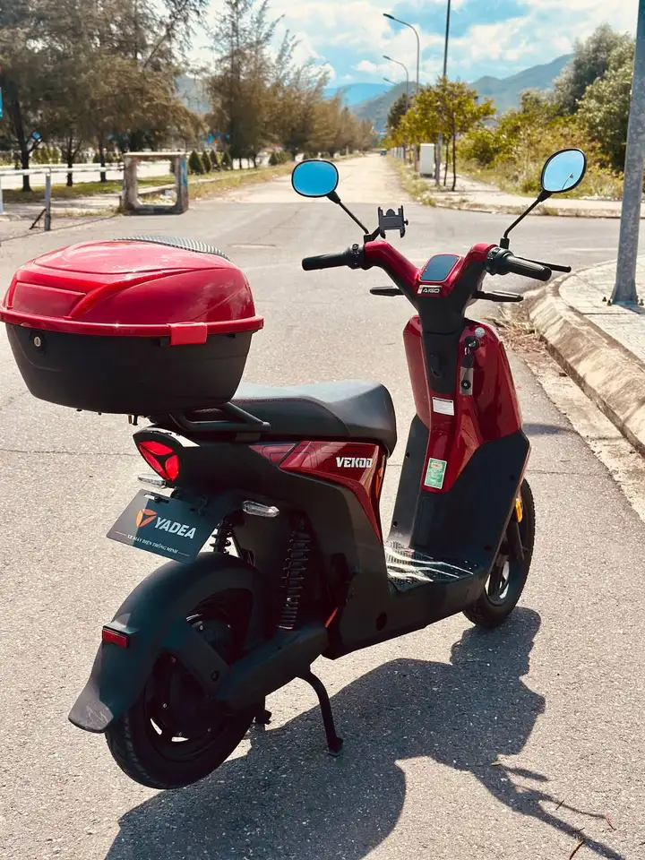 Electric bike Vadea Vekoo 2 с кофром