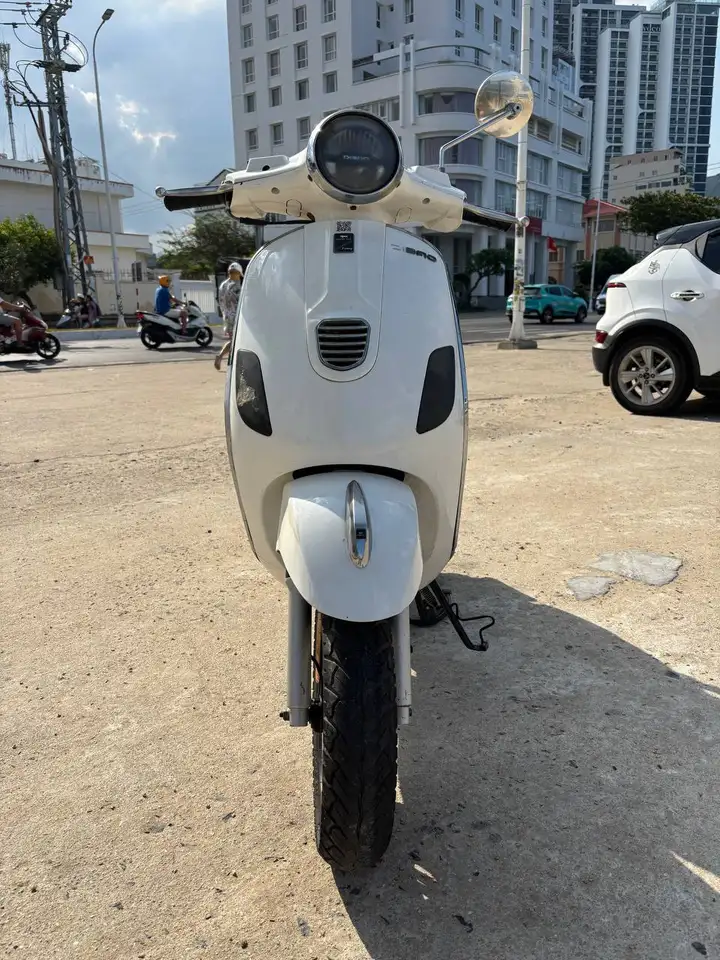 Dibao Pansyx 2020