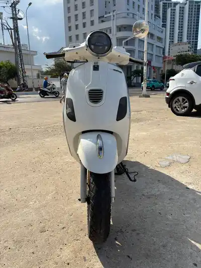 Dibao Pansyx 2020