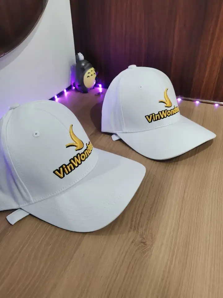 Кепки VinWonders (2 шт)