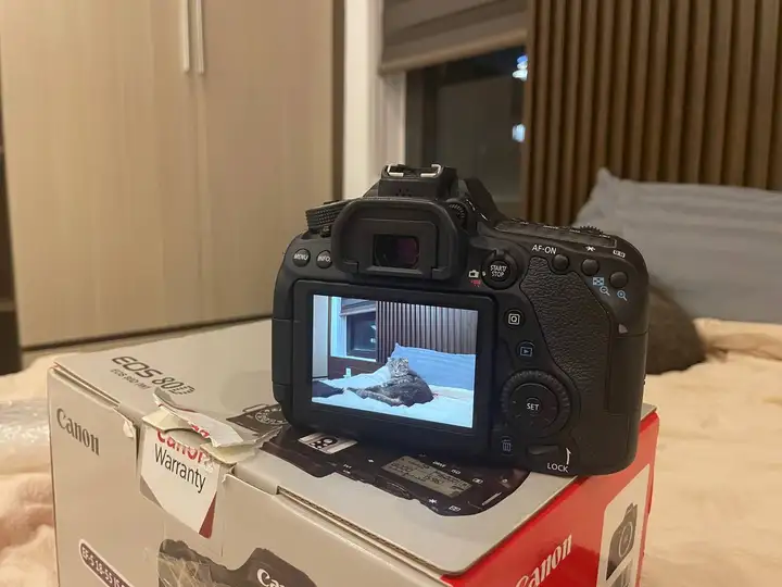 Canon EOS 80D + объектив EF-S 18-55mm IS STM