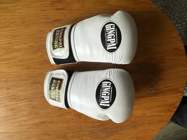 Боксерские перчатки GINGPAI 10oz