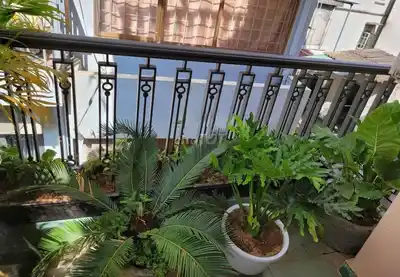 Аренда дома 60м² с 5 спальнями, переулок 445 Lac Long Quan, Tay Ho