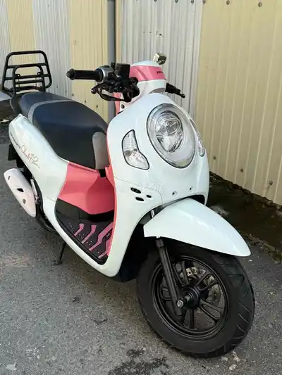 Honda Scoopy Club 12 бело-розовый