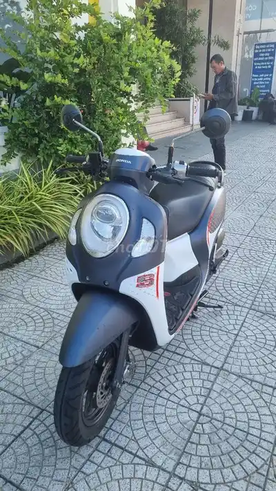 Honda Scoopy 2024 белый, чёрный, серый