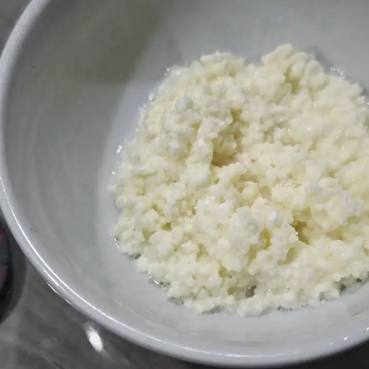 Кефирный гриб