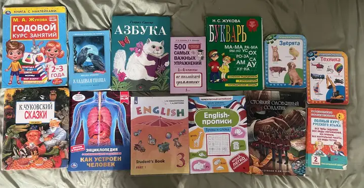 Пакет развивающих и художественных книг на русском (13 шт.)