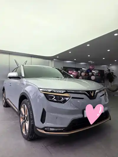 Vinfast VF8 Lux Plus Hỏa Long 2026 серо-серебристый