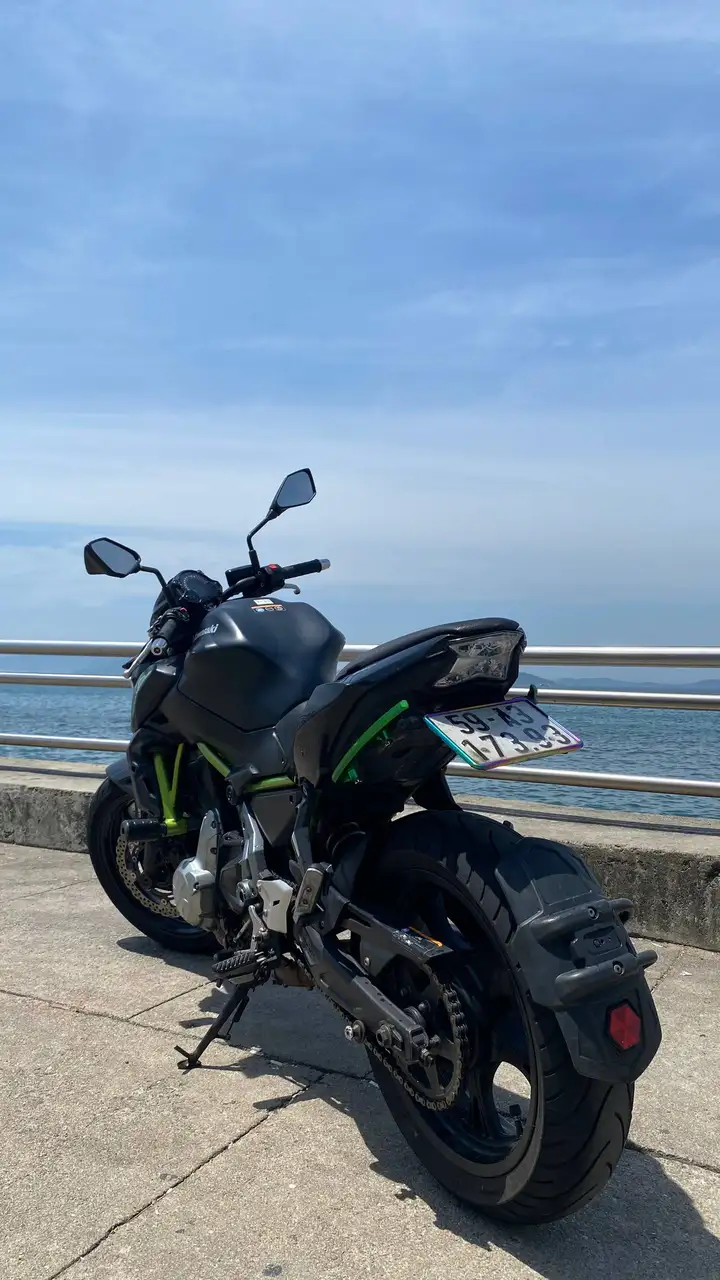 Kawasaki Z650 (2018)