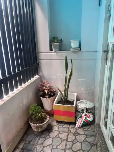 Сдается дом