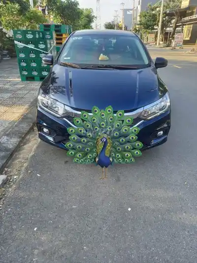 Honda City 2018 1.5 CVT Синий