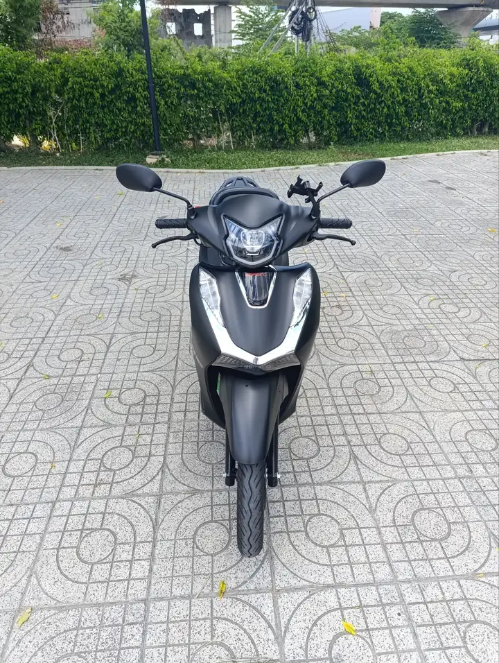 Velia 50